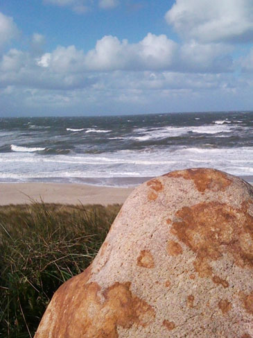 Sicherheitsschulungen Lehrer und Trainer